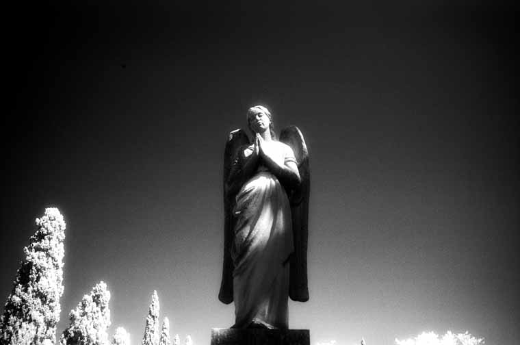 Cementerio de Zaragoza