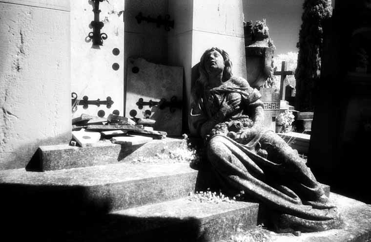 Cementerio de Zaragoza