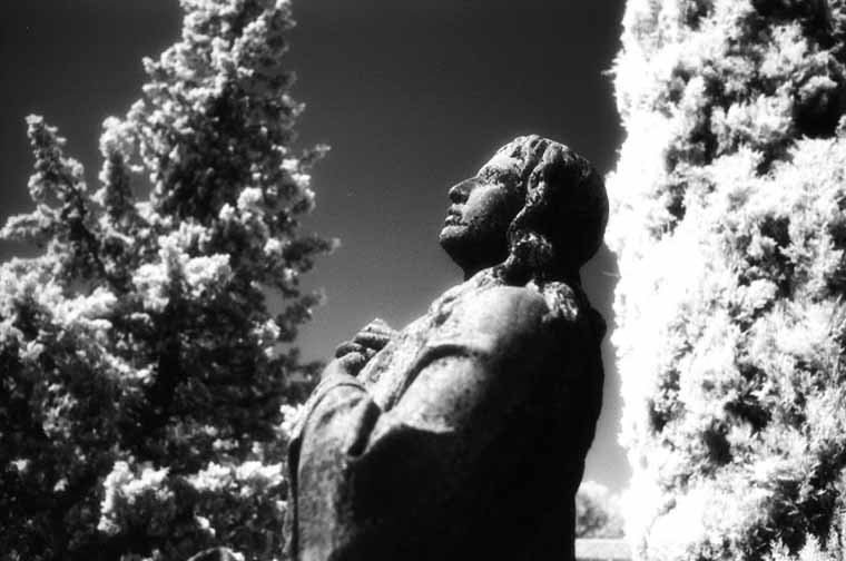 Cementerio de Zaragoza