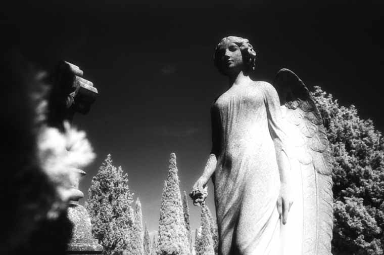 Cementerio de Zaragoza