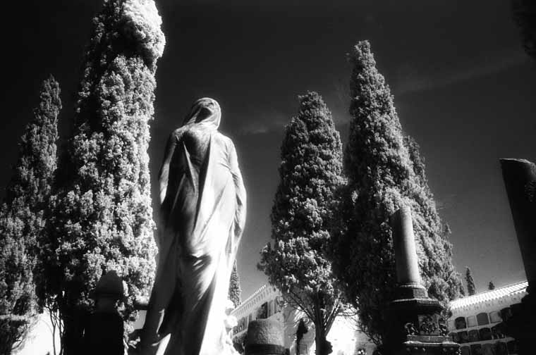Cementerio de Zaragoza