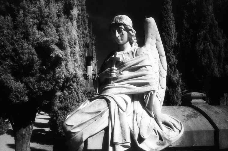 Cementerio de Zaragoza