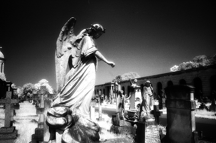 Brompton Cemetery