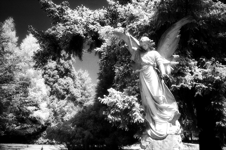 Brookwood Cemetery