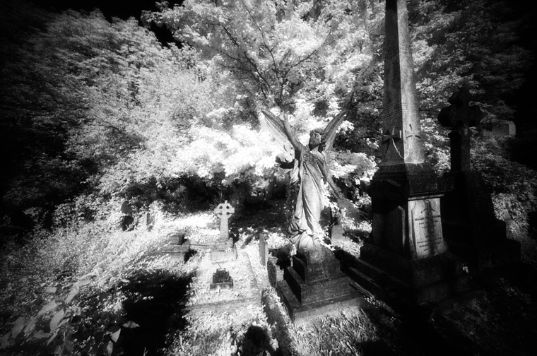 Highgate Cemetery East