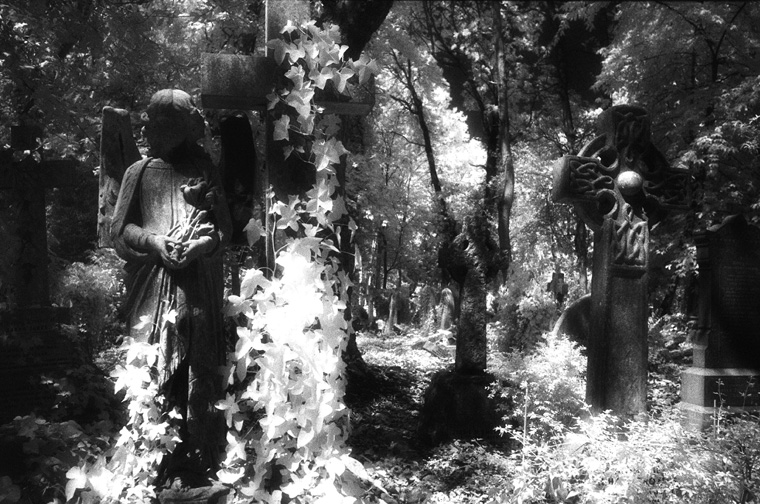 Highgate Cemetery East