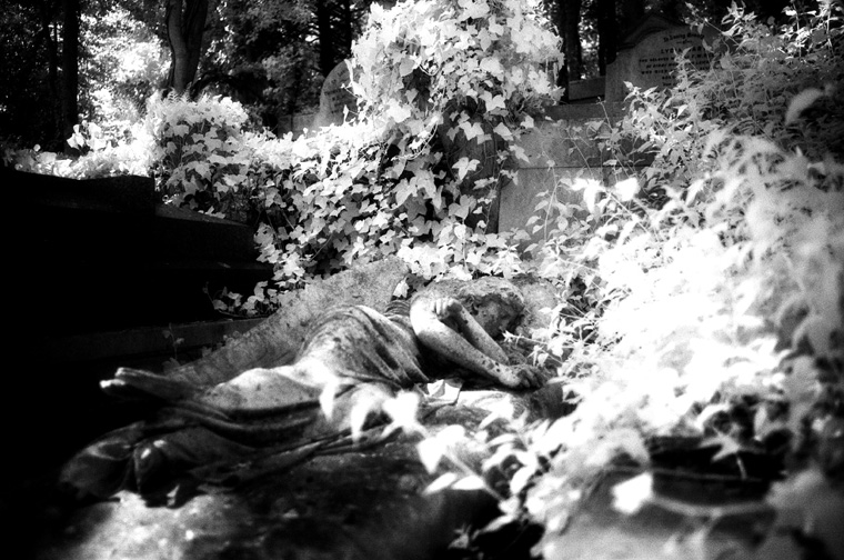 Highgate Cemetery West