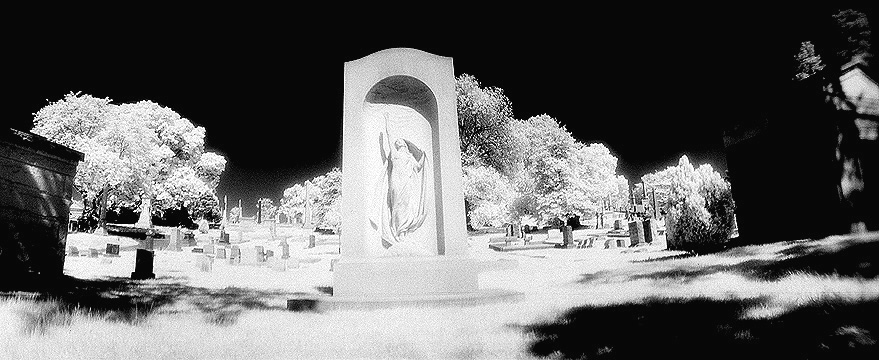Laurel Hill