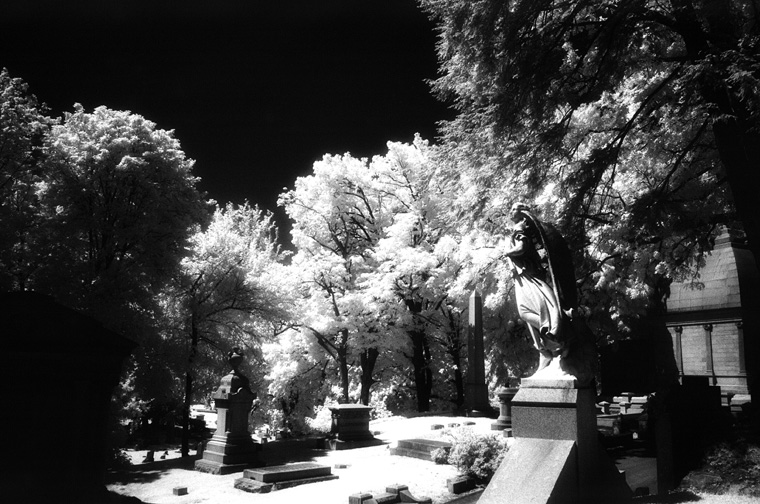 Laurel Hill