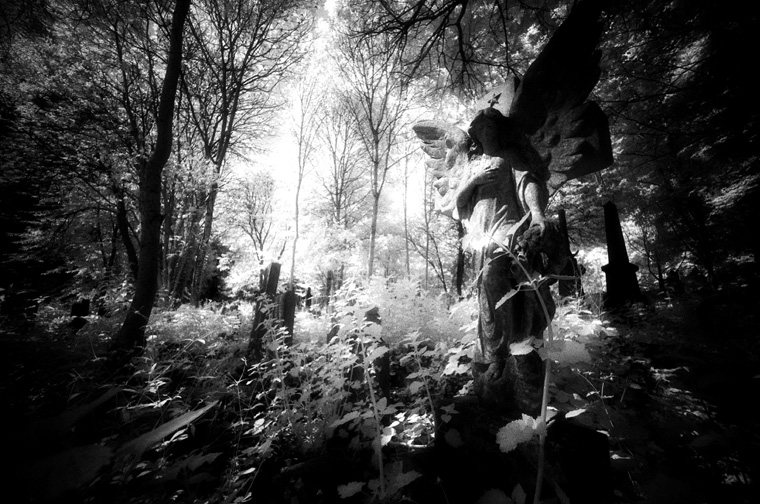 Tower Hamlets Cemetery