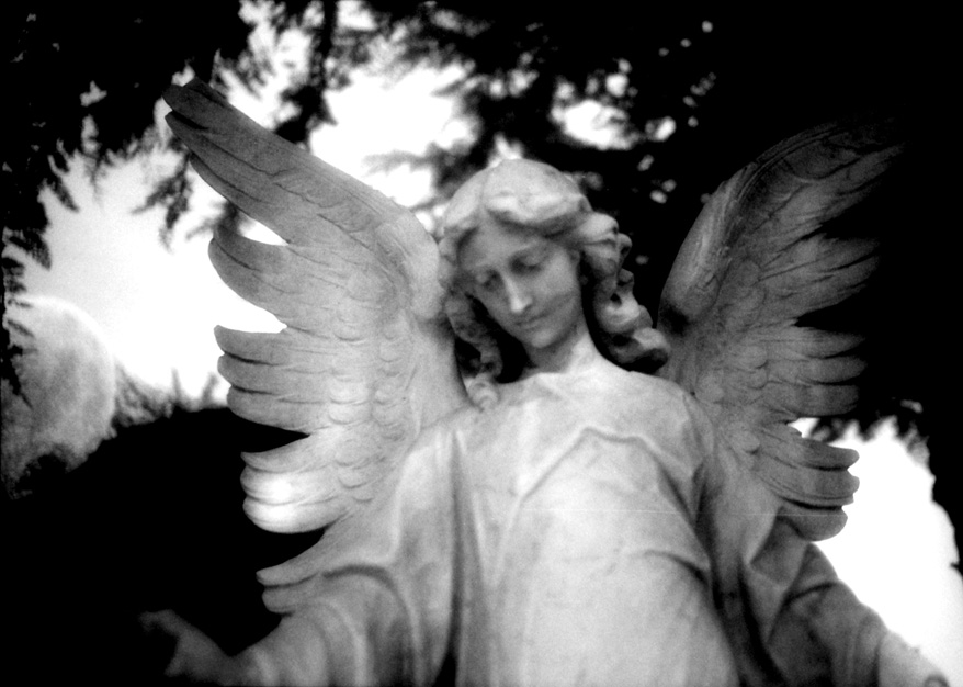 Cementerio Municipal de Punta Arenas
