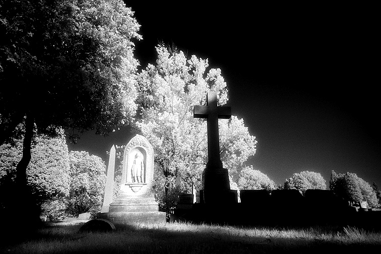 Albany Rural - by chuckv