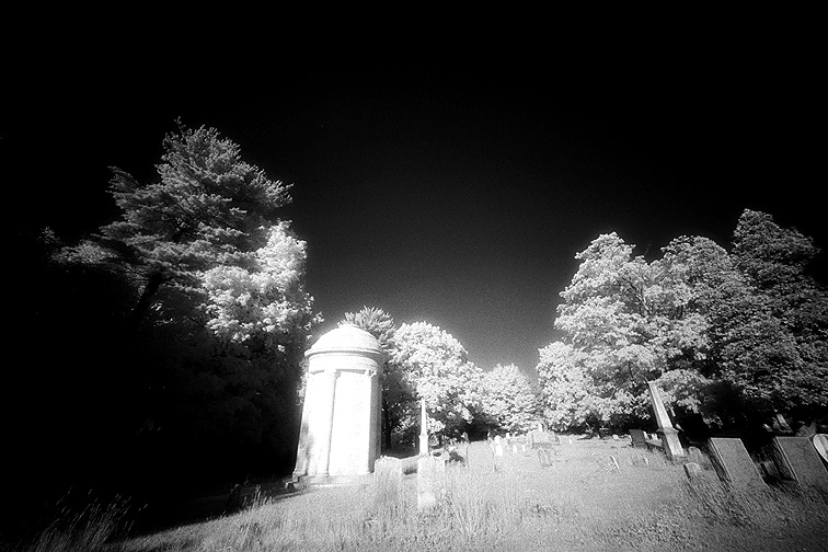 Albany Rural - by chuckv