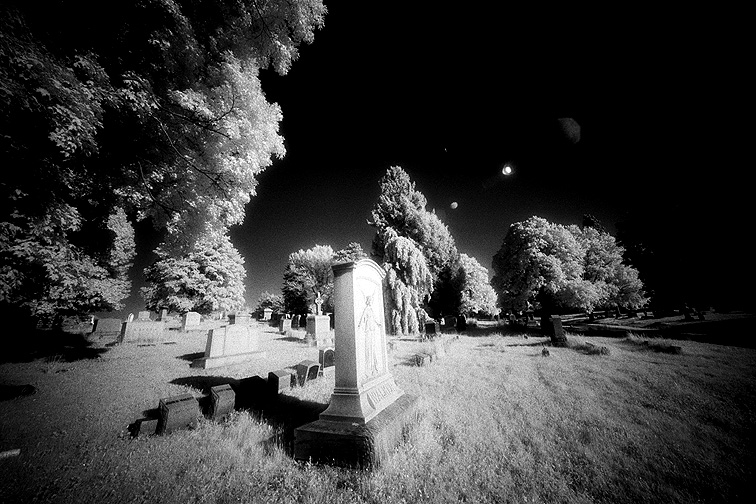 Albany Rural - by chuckv