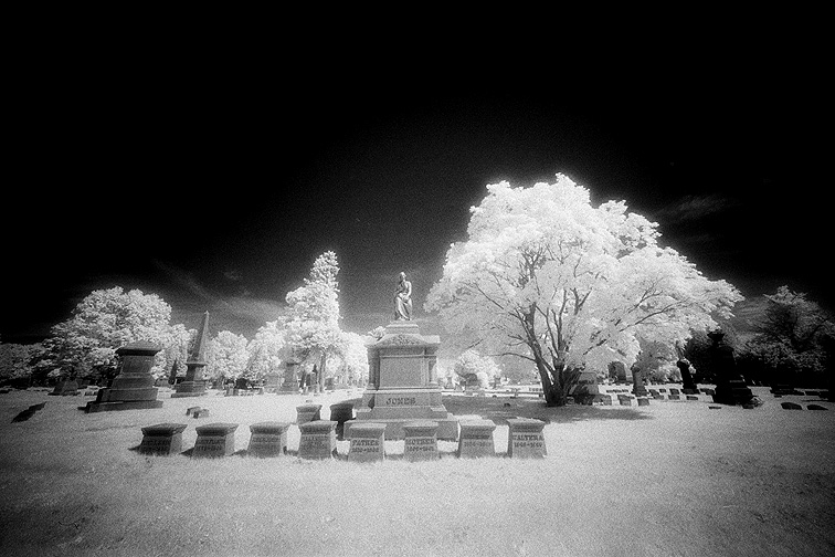 Albany Rural - by chuckv