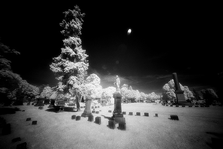 Albany Rural - by chuckv