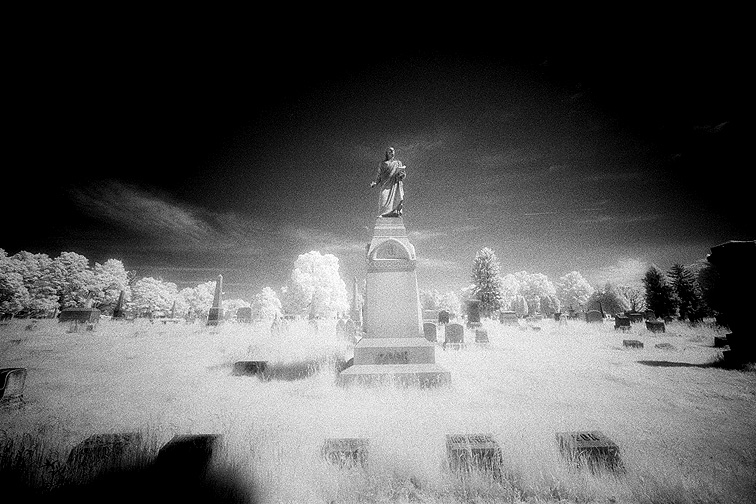 Albany Rural - by chuckv