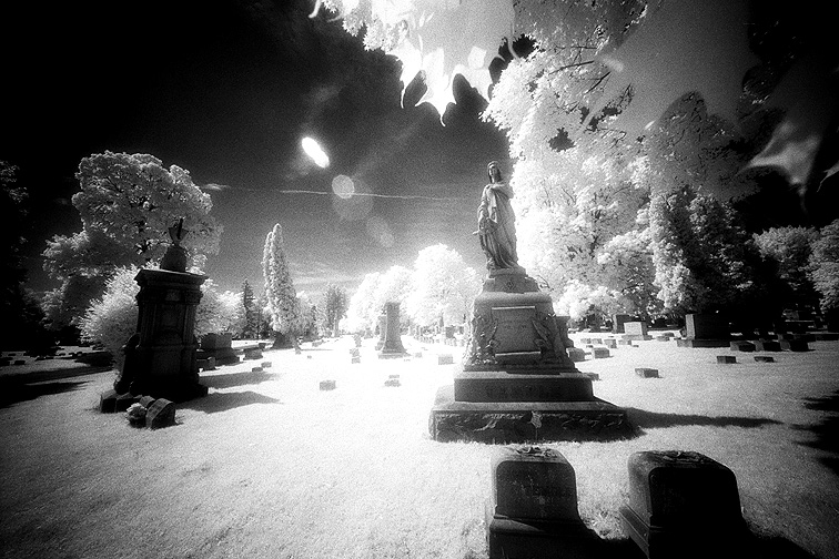 Albany Rural - by chuckv