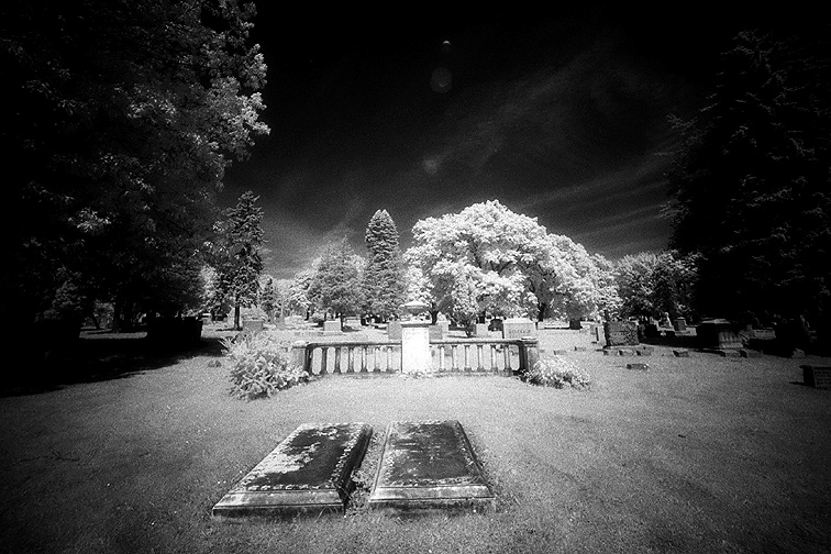 Albany Rural - by chuckv