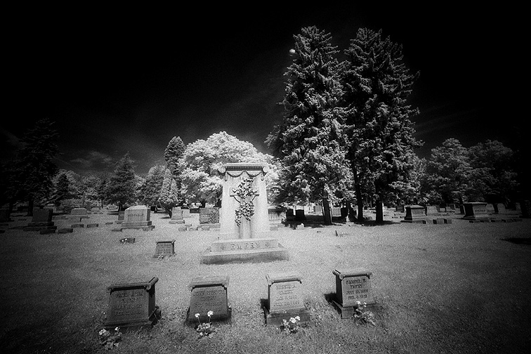 Albany Rural - by chuckv