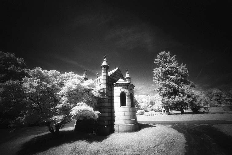 Albany Rural - by chuckv