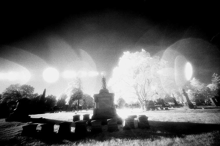 Albany Rural - by chuckv