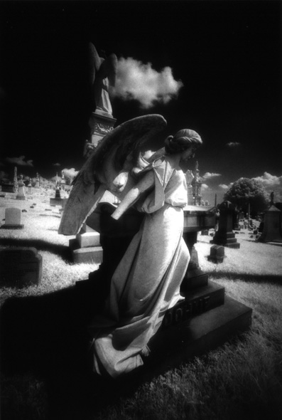 Baltimore Cemeteries - by chuckv