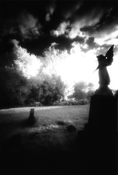 Baltimore Cemeteries - by chuckv