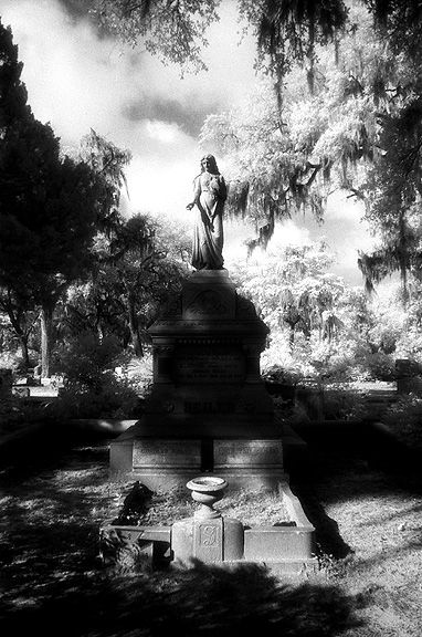 Bonaventure - by chuckv