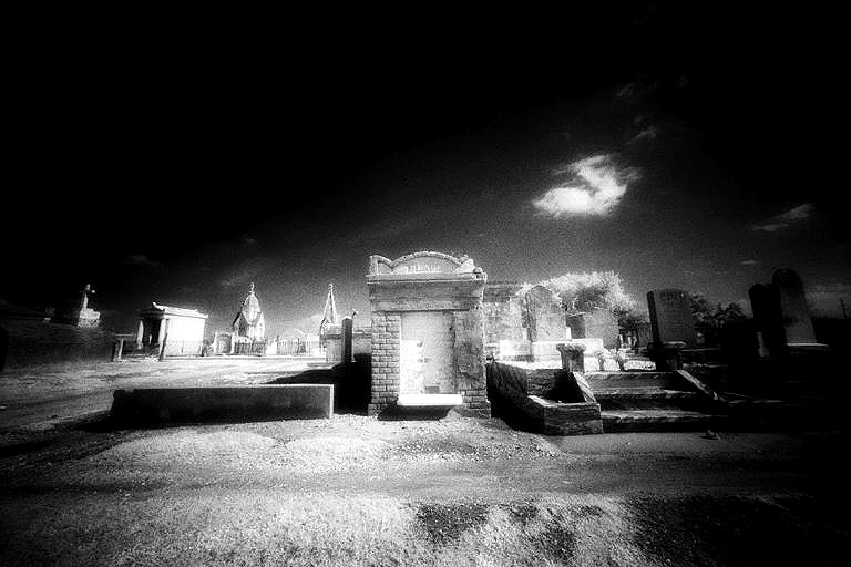 Cypress Grove - by chuckv