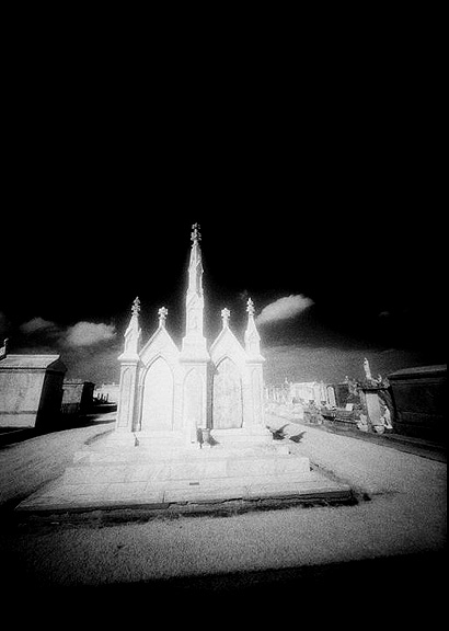 Cypress Grove - by chuckv