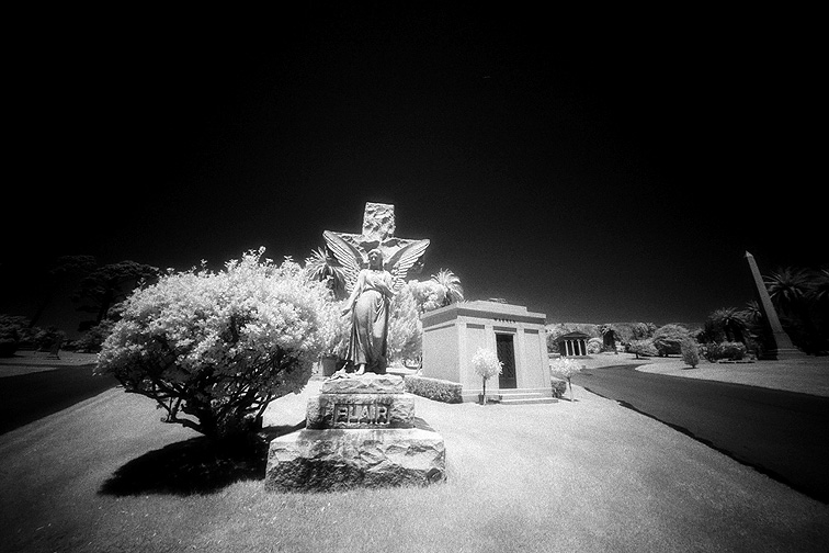 Cypress Lawn - by chuckv