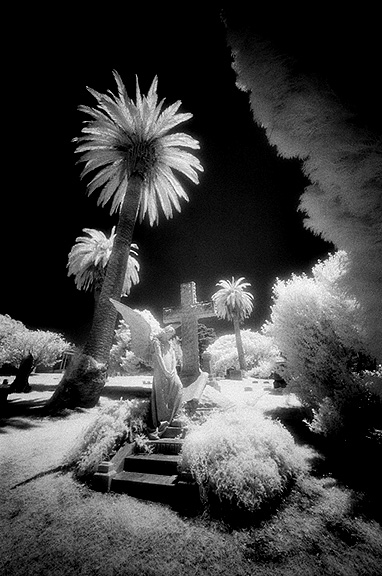 Cypress Lawn - by chuckv