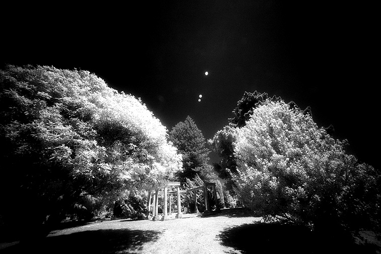 Cypress Lawn - by chuckv