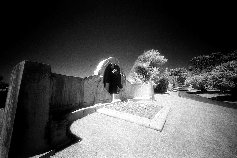 Cypress Lawn - by chuckv