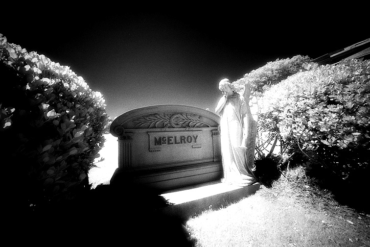 Cypress Lawn - by chuckv
