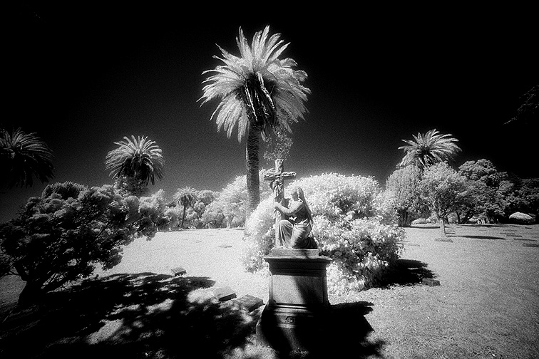 Cypress Lawn - by chuckv