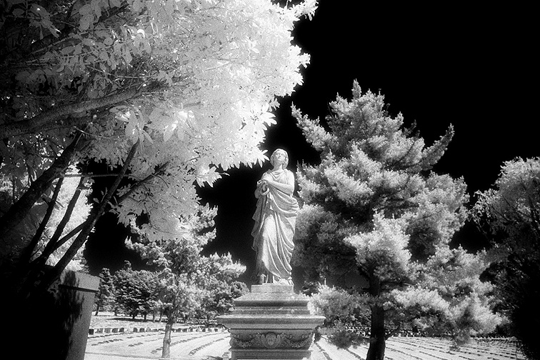 Cypress Lawn - by chuckv