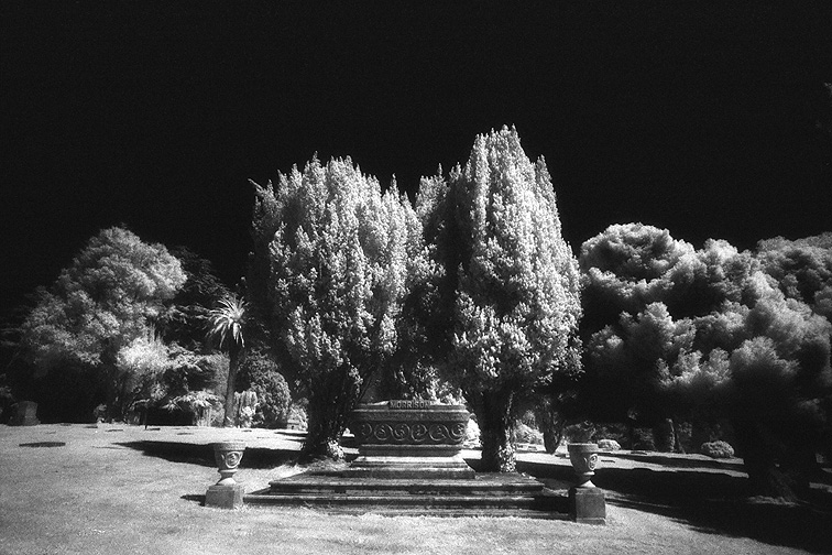 Cypress Lawn - by chuckv