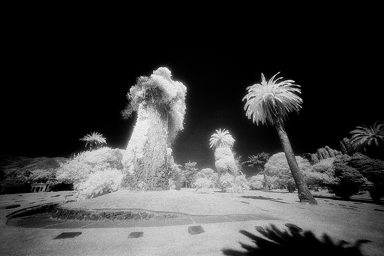 Cypress Lawn - by chuckv