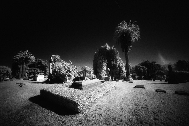 Cypress Lawn - by chuckv