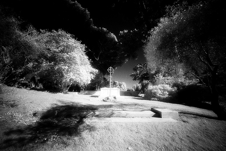 Cypress Lawn - by chuckv
