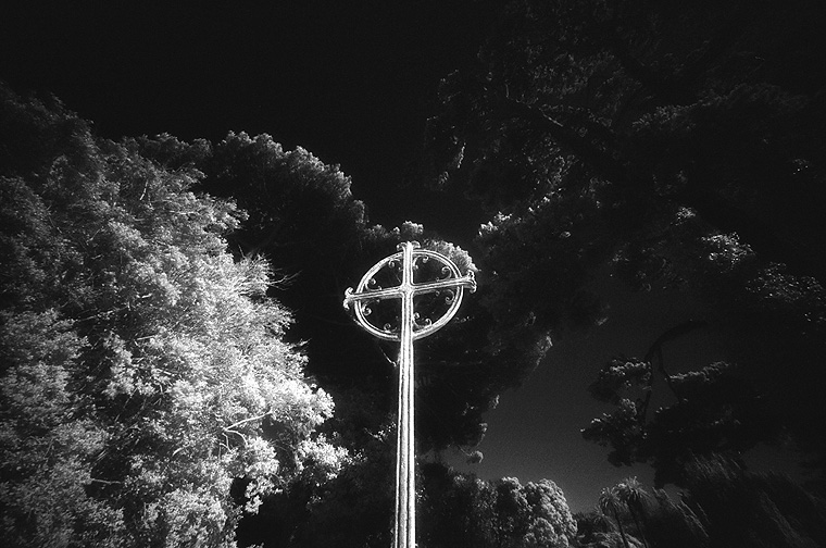 Cypress Lawn - by chuckv