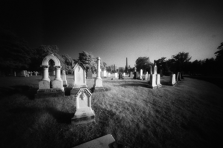 Oakwood - by chuckv