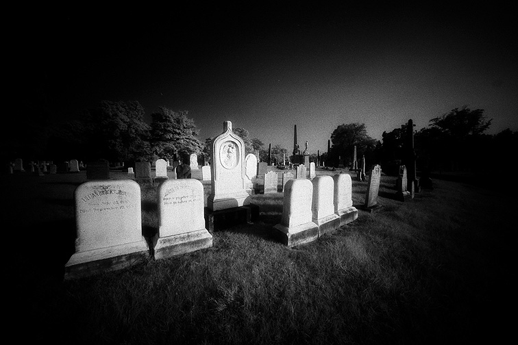 Oakwood - by chuckv