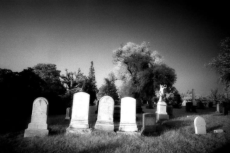 Oakwood - by chuckv