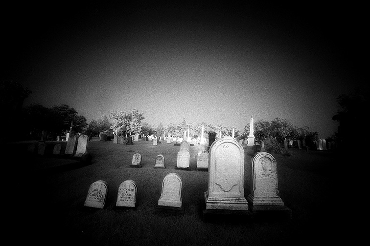Oakwood - by chuckv