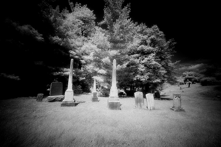 Oakwood - by chuckv