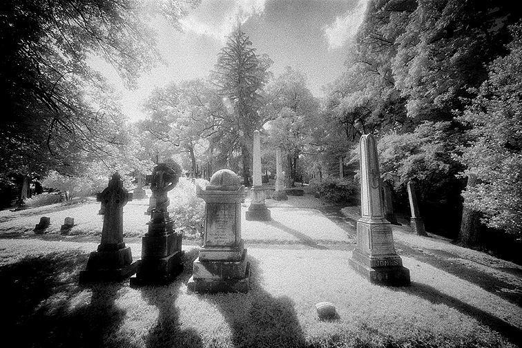 Oak Hill - by chuckv