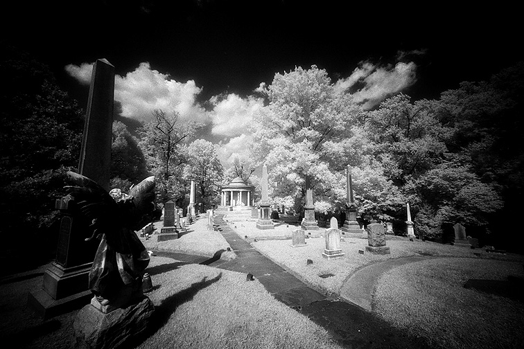 Oak Hill - by chuckv